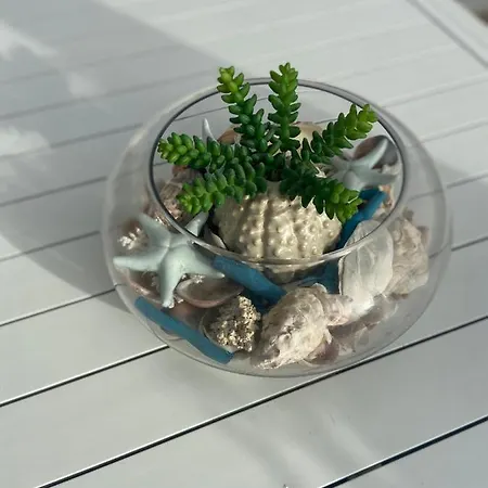 Lejlighed Rossini Penthouse Cagliari