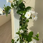 Rossini Penthouse Apartman