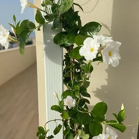 Rossini Penthouse Apartmán