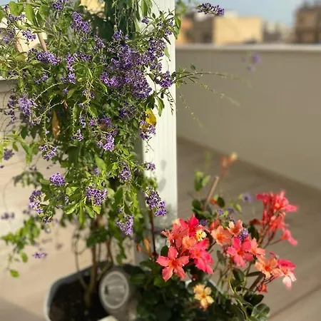 Rossini Penthouse Lägenhet